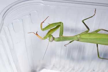 Similar image 21648158