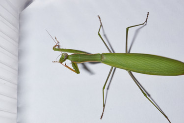 Similar image 21648160