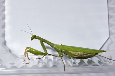 Similar image 21648162