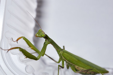 Similar image 21647802