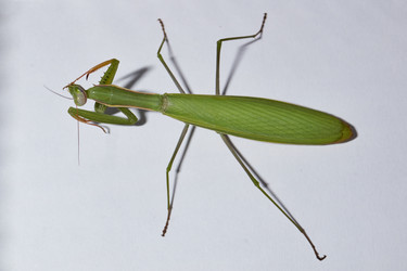 Similar image 21648165