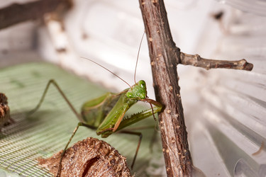 Similar image 21648168