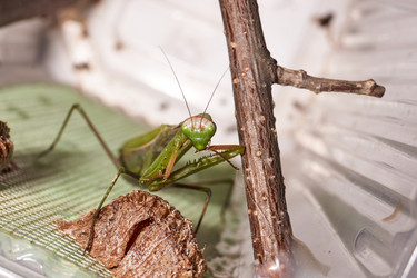 Similar image 21648210