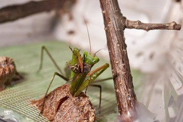 Similar image 21648211