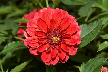 Similar image 21648212