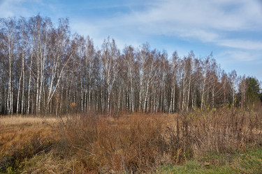 Similar image 21648213