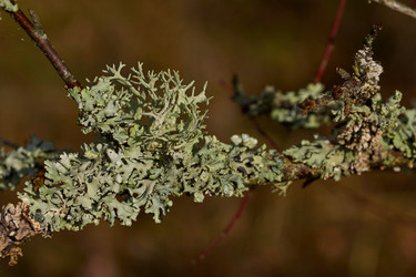 Similar image 21648216