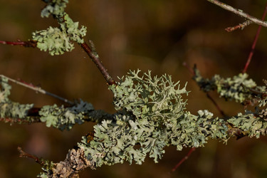 Similar image 21648217