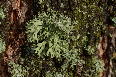 Similar image 21647805