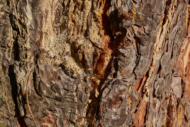 Similar image 21648223