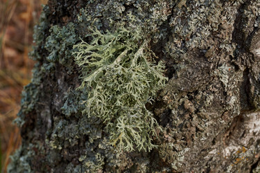 Similar image 21647808