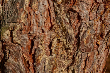 Similar image 21647809