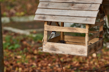 Similar image 21648225