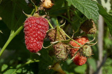 Similar image 21647810