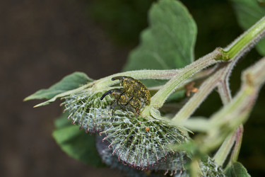 Similar image 21648226