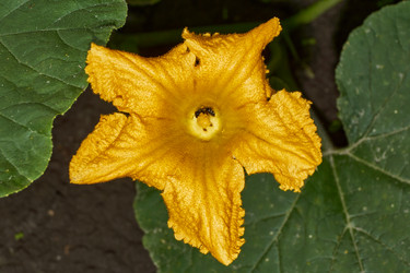 Similar image 21647812