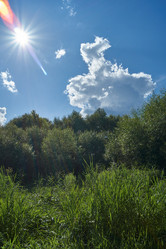 Similar image 21647813