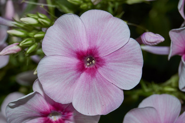 Similar image 21648271