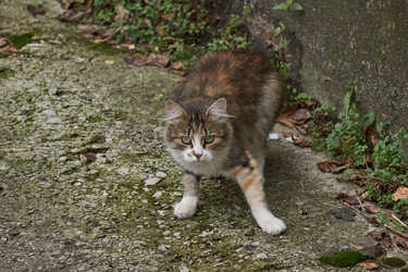 Similar image 21648272