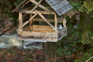 Similar image 21648274