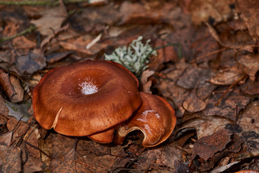 Similar image 21648277