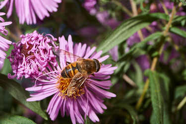 Similar image 21647815