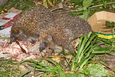 Similar image 21648280