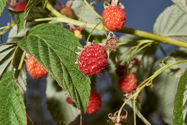 Similar image 21648282