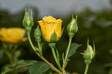 Similar image 21647819