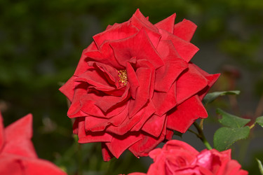 Similar image 21648285