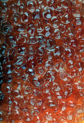 Similar image 21651045