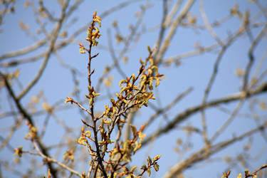 Similar image 21651046