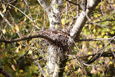 Similar image 21651047