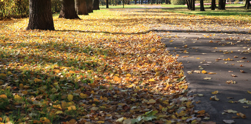 Similar image 21651051