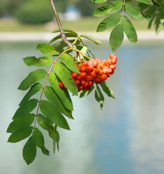 Similar image 21651056