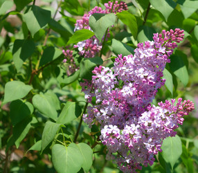 Similar image 21651061