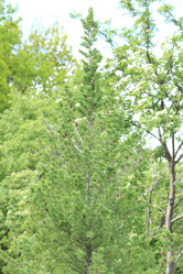 Similar image 21651065