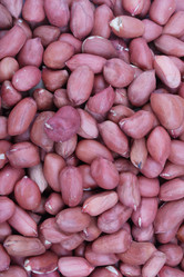 Similar image 21651068