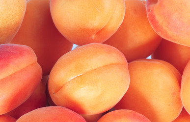 Similar image 21651078