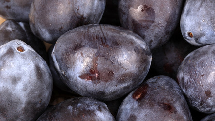 Similar image 21651079