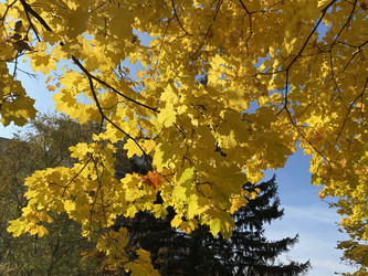 Similar image 21651081