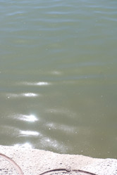 Similar image 21651082