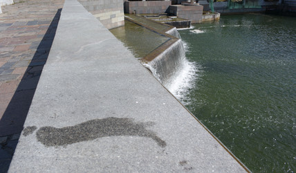 Similar image 21651086