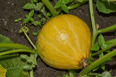 Similar image 21648335