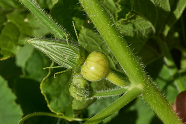 Similar image 21648336