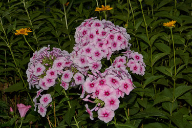 Similar image 21648338