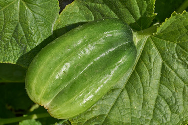 Similar image 21648339