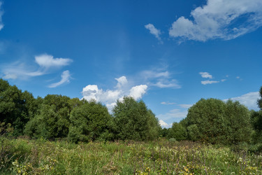 Similar image 21648340