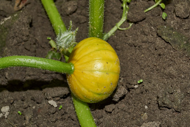 Similar image 21648341