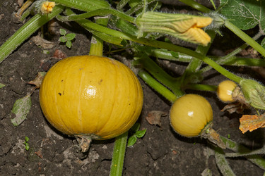 Similar image 21648342